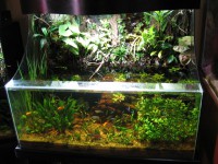 /album/paludarios/paludario-5-jpg/